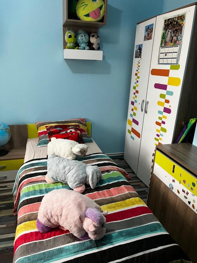 Apartament Maria 1 Baile Herculane Ngoại thất bức ảnh