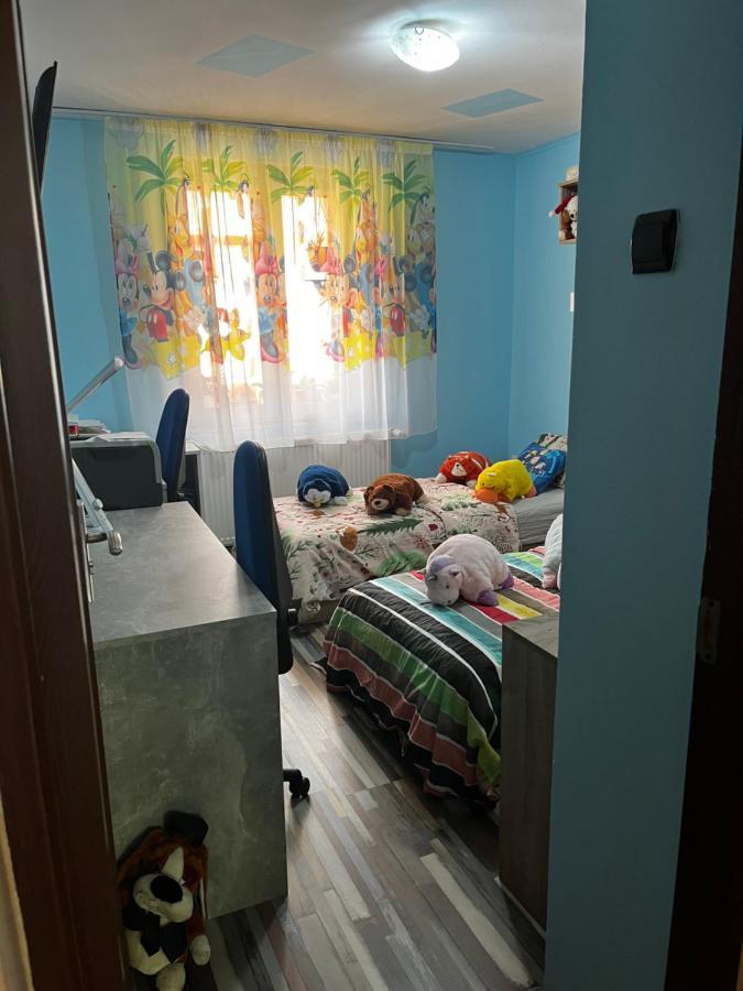 Apartament Maria 1 Baile Herculane Ngoại thất bức ảnh